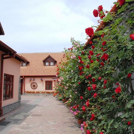 Pension Ela Sibiu Exterior photo