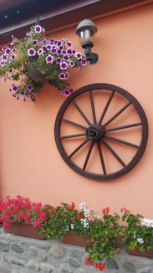 Pension Ela Sibiu Exterior photo