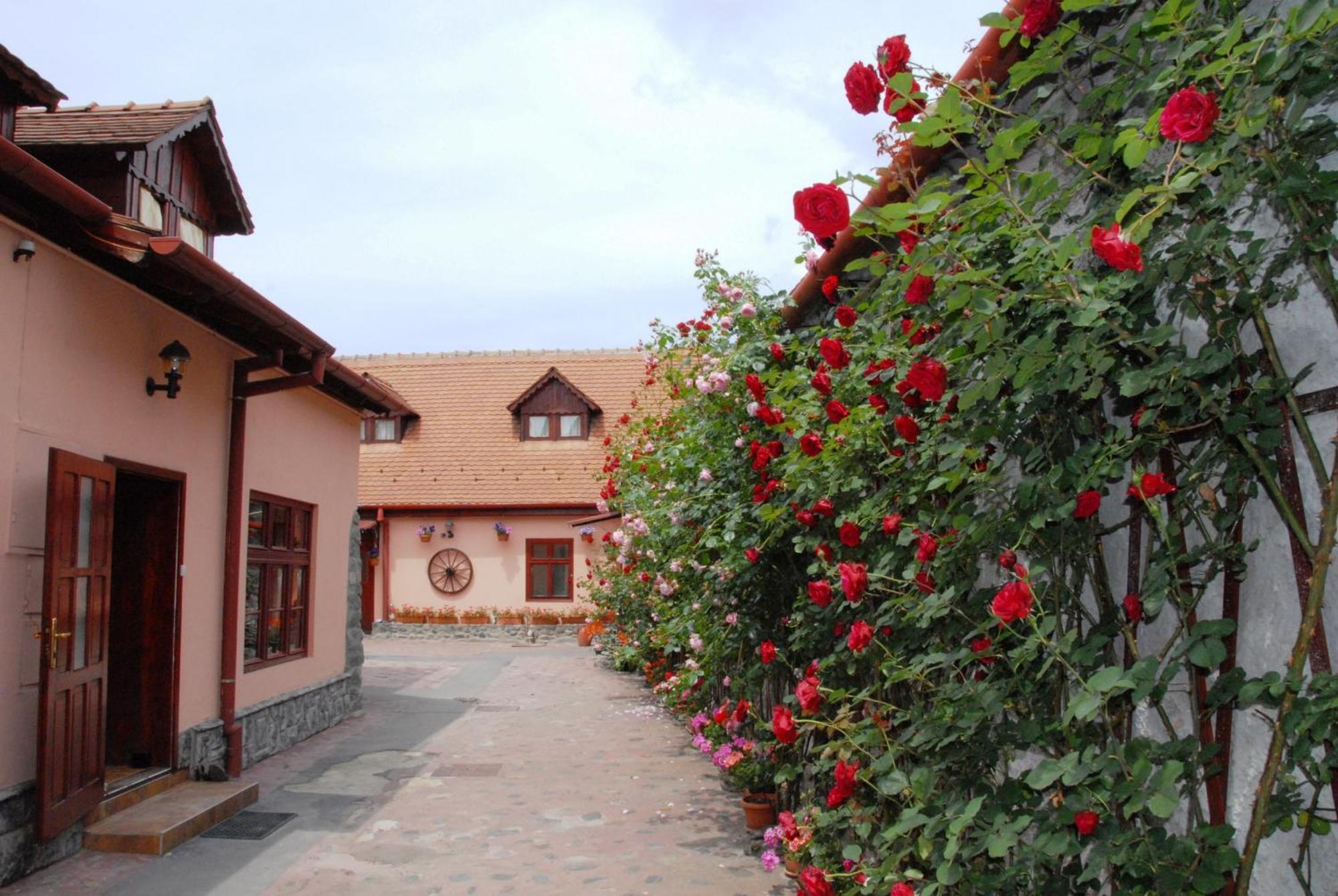 Pension Ela Sibiu Exterior photo